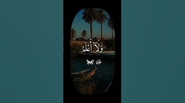ولا اقول لكم عندي خزائن الله || الشيخ حمدي الزامل || سورة هود