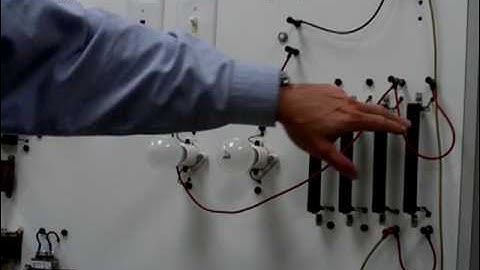 Parallel Circuits.AVI
