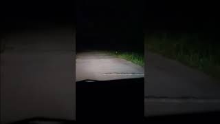 Ular Tanjakan Haur Ngambang Part 2