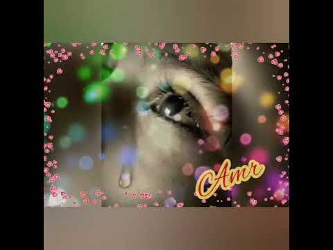 ياهوا محمد محي