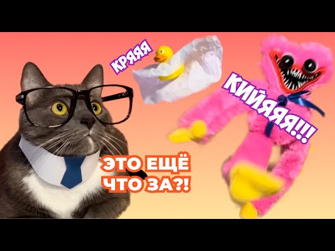 ЕСЛИ БЫ КОТИКИ ХОДИЛИ В ШКОЛУ - СТРАШНЫЕ ИСТОРИИ, КИССИ МИССИ