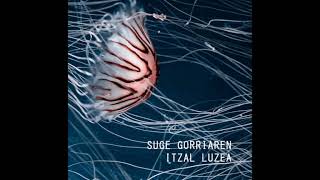 SUGE GORRIAREN ITZAL LUZEA  //  MARMOKA