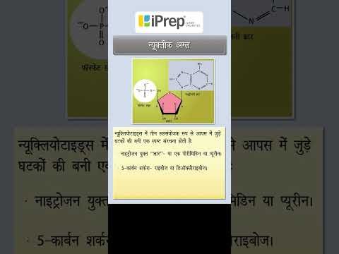 वीडियो: क्या न्यूक्लीज न्यूक्लिक एसिड को तोड़ता है?