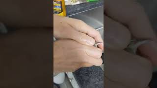 How to save a bird that's stuck to a glue trap