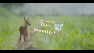 Marco Borsato - Mooi with Fairy Lyrics 🌺