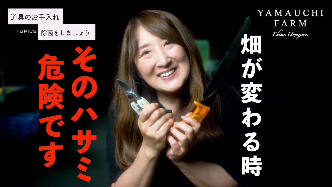 お花摘みなのだ How to harvest, bag and eat [rapeseed] - YouTube