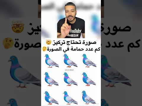 صورة تحتاج تركيز كم عدد حمامة في الصورة الكويت اكوجك اكسبلور 