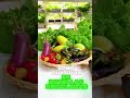 hidroponía para todos con clase gratuita #peru #mexico #colombia #garden #argentina
