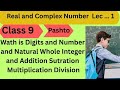 Wath is Digit and Number and Natural Whole Integers