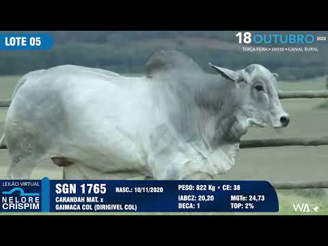 LOTE 05 SGN 1765