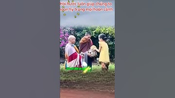 Khoảnh khắc hài hước của 2 Sư 😀 #thichminhtue