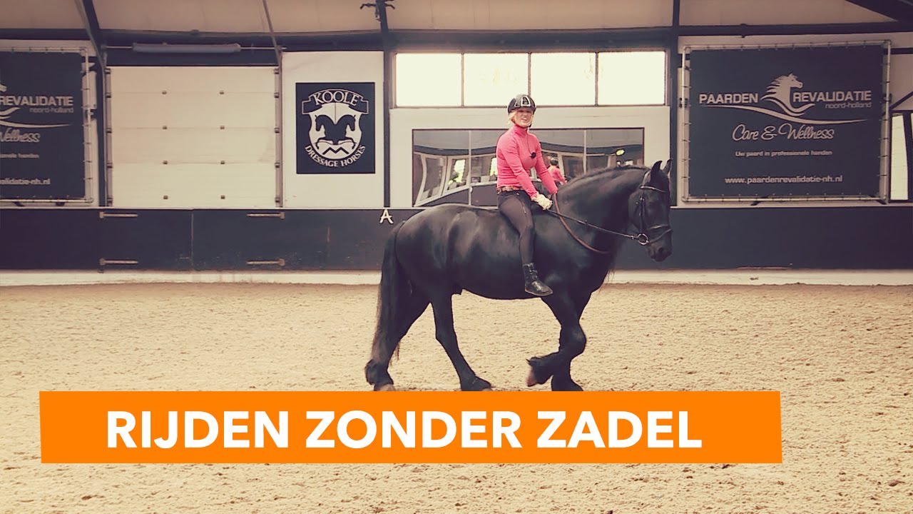 Ruiterfysio: Ontspannen rijden zonder hoofdpijn - Bit & Cap