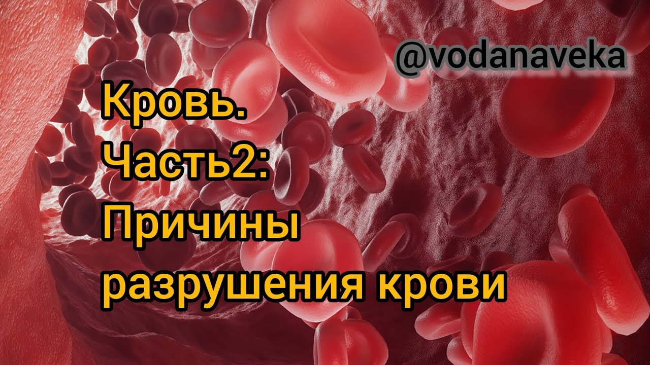 Почему кровь желтая. Органы разрушения крови.