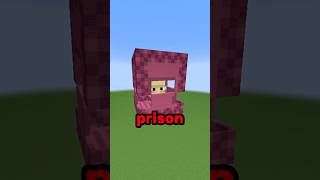 Minecraft Shulker Prison?! ⛏💎