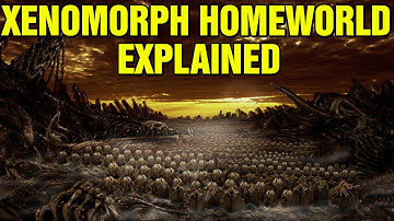 ALIEN: XENOMORPH HOMEWORLD EXPLAINED PROTEUS A6 454 - NATURAL ENEMY OF THE ALIEN