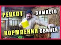 КАК КОРМИТЬ СВИНЕЙ | ПРОСТОЙ РЕЦЕПТ | Рацион кормления свиней зимой | Замёрзла вода в доме