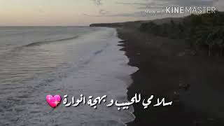 يا مهدي /اجمل حالات واتساب / يوميات انستا