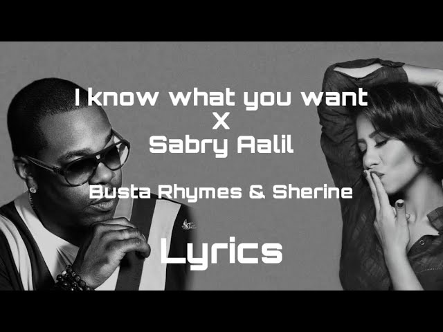 I know what you want X Sabry Aalil lyrics class=