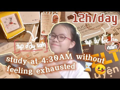 Video: 4 Cách Học Tuần Trước Kỳ Thi