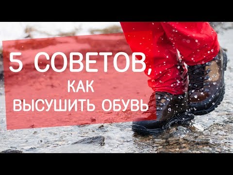 Как высушить обувь? Советы от экспертов Next Step