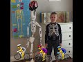 Andrew alkema  skeletal system grade 3t