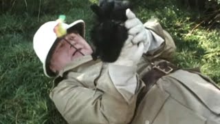 Benny Hill - Lost In The Middle Of The Jungle