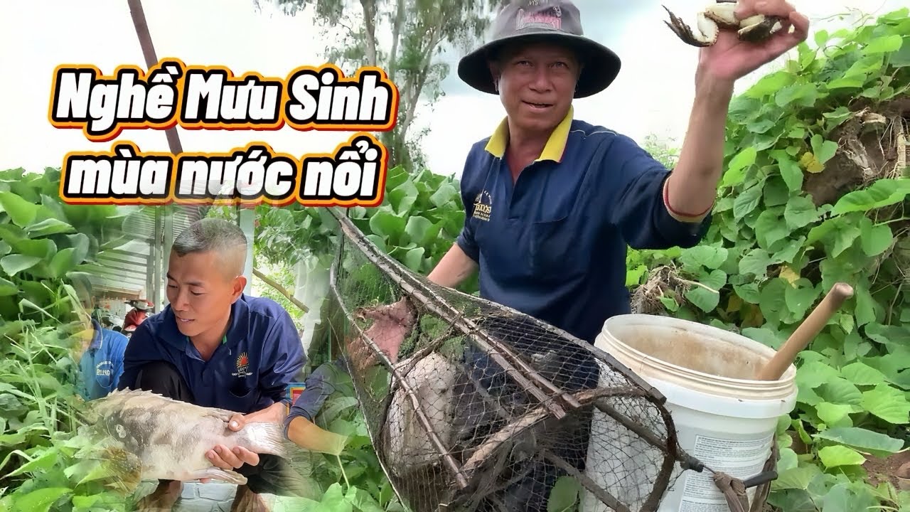 Cùng Ba Anh Toàn Đi Đặt Lợp Mùa Nước Nổi Miền Tây | Góc Quê 10
