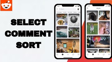 How To Select Comment Sort On Reddit App