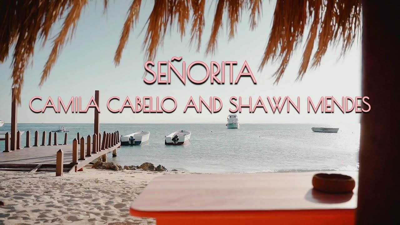 Camila Cabello, Shawn Mendes - Senorita (lyrics) | Senorita | Senorita ...