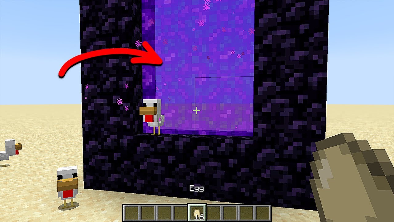 what if you throw an egg into the portal? YouTube