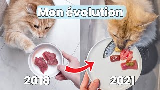 4 Ans Dalimentation Crue Mes Erreurs Et Ce Que Jai Changé Raw Feeding Barf Prey Model