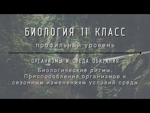 Биология 11 кл Теремов §49 Биологические ритмы. Приспособления организмов к сезонным изменениям