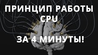 Как работает процессор, просто о сложном ✌