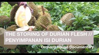 THE STORING OF DURIAN FLESH // PENYIMPANAN ISI DURIAN  | Orchard House