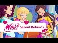 Winx Club - 4. Sezon 15. Bölüm  - Sihir dersleri - [TAM BÖLÜM]