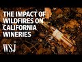 Wildfires Devastate California Wineries: 'It's Like a Bad Dream' | WSJ