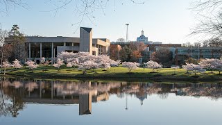 George Mason University | Mason’s Iconic Cherry Blossoms and Arboretum