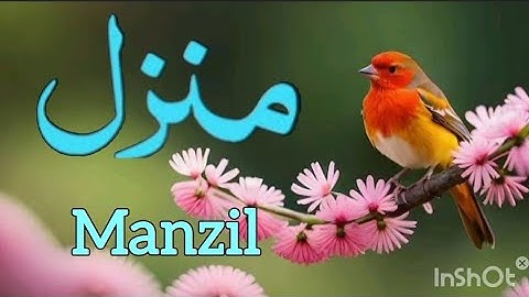 Manzil dua | منزل | Dua For Cure n Protection of Black Magic| Islamic Dua For Nazrebad