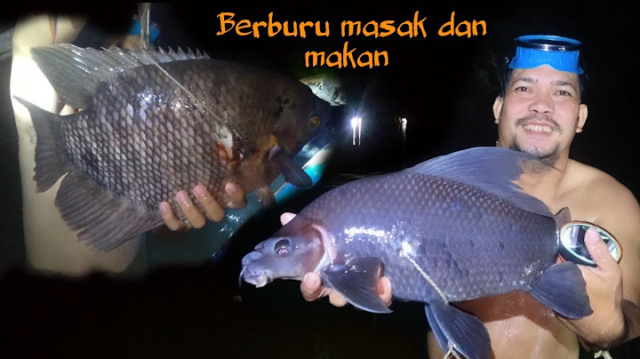 Berburu di hutan - Masak dan Makan di Sungai Kapuas Saat Malam Hari