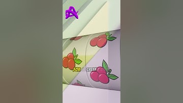 Quiz #125 #quiz #quiztime #brainteasers #testyourknowledge #quizmaster #trivia #quizshow #puzzle