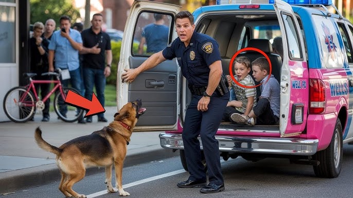 K9 Dog Barked at an Ice Cream Truck — What Police Found Inside Shocked the  Entire Nation - YouTube