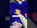 بلوت كبوت على الهادي 