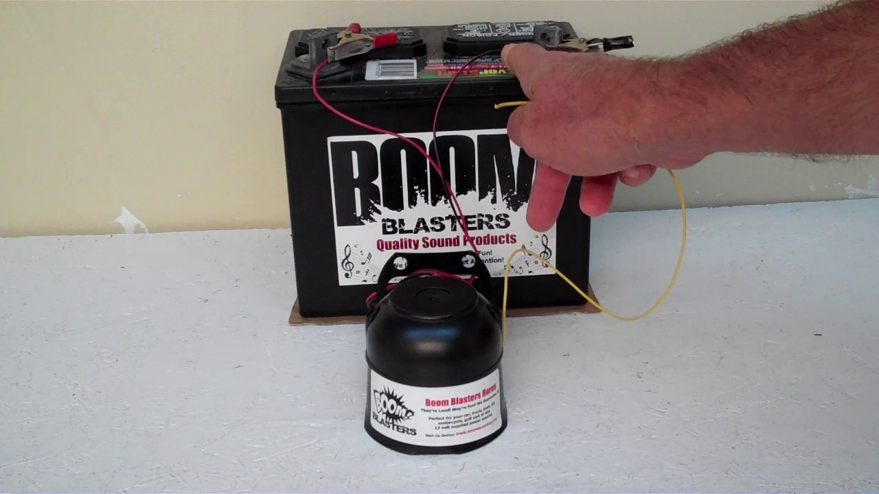 Horse Whinny Sounds Car Horn 2 YouTube