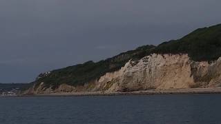 Aldous Harding - What If Birds Arent Singing Theyre Screaming