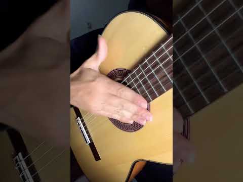 Rumba flamenco guitar technique..