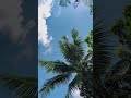 #shortvideo#viralvideo