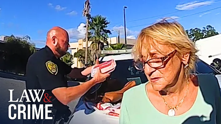 8 Shoplifters Try to Outsmart Police: Caught on Bodycam