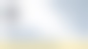 Geistlich Nexo-Gide® -  Lawrence A  DiDomenico