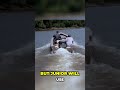 Gator Showdown: Last Chance!