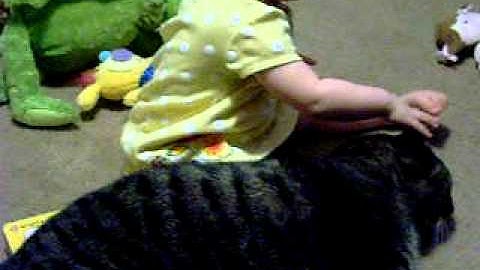 Baby pulls ears and whiskers of cat - funny and cute